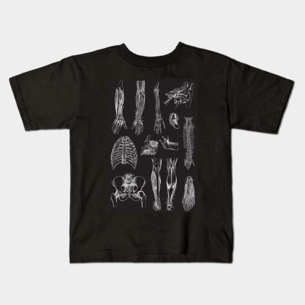 Vintage human anatomy pattern Kids T-Shirt by Dr.Bear